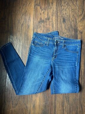 Universal Thread Classic Indigo Skinny Jeans